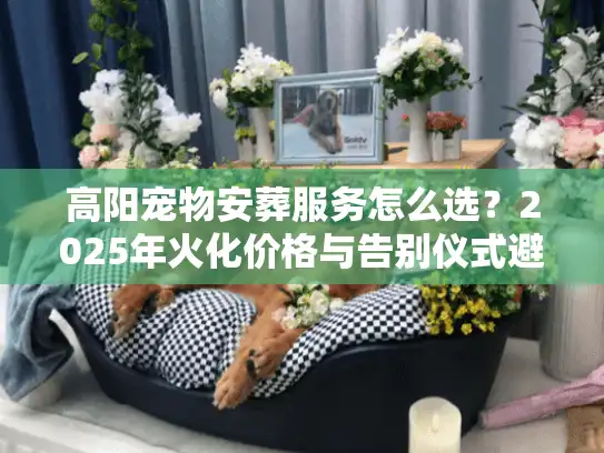 高阳宠物安葬服务怎么选？2025年火化价格与告别仪式避坑