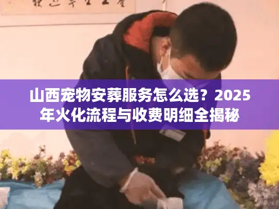 山西宠物安葬服务怎么选？2025年火化流程与收费明细全揭秘