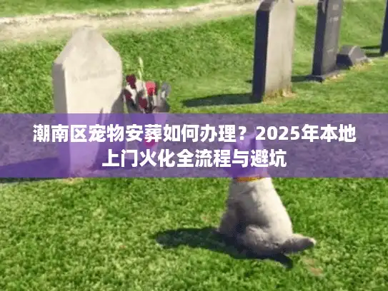 潮南区宠物安葬如何办理？2025年本地上门火化全流程与避坑
