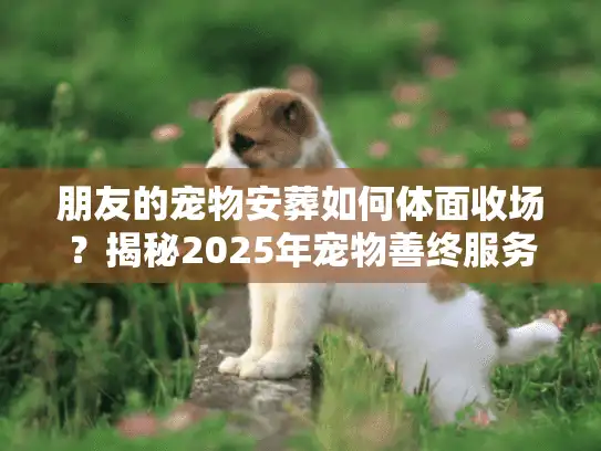 朋友的宠物安葬如何体面收场？揭秘2025年宠物善终服务避坑实录