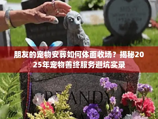 朋友的宠物安葬如何体面收场？揭秘2025年宠物善终服务避坑实录