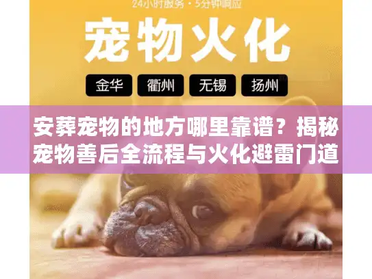 安葬宠物的地方哪里靠谱？揭秘宠物善后全流程与火化避雷门道