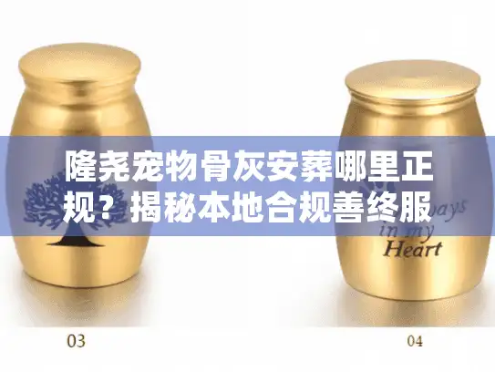 隆尧宠物骨灰安葬哪里正规？揭秘本地合规善终服务与隐形消费