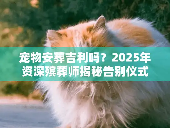 宠物安葬吉利吗？2025年资深殡葬师揭秘告别仪式门道