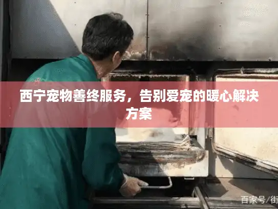 西宁宠物善终服务，告别爱宠的暖心解决方案