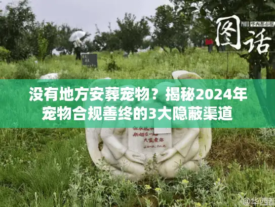 没有地方安葬宠物？揭秘2024年宠物合规善终的3大隐蔽渠道