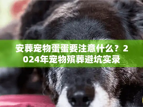 安葬宠物蛋蛋要注意什么？2024年宠物殡葬避坑实录