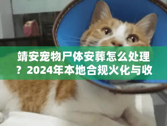 靖安宠物尸体安葬怎么处理？2024年本地合规火化与收费标准