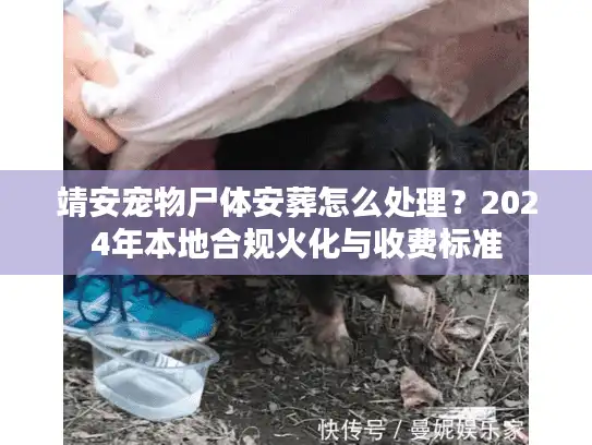靖安宠物尸体安葬怎么处理？2024年本地合规火化与收费标准