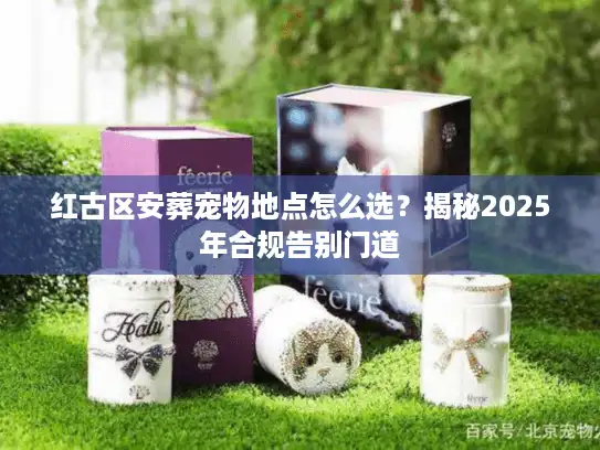 红古区安葬宠物地点怎么选？揭秘2025年合规告别门道