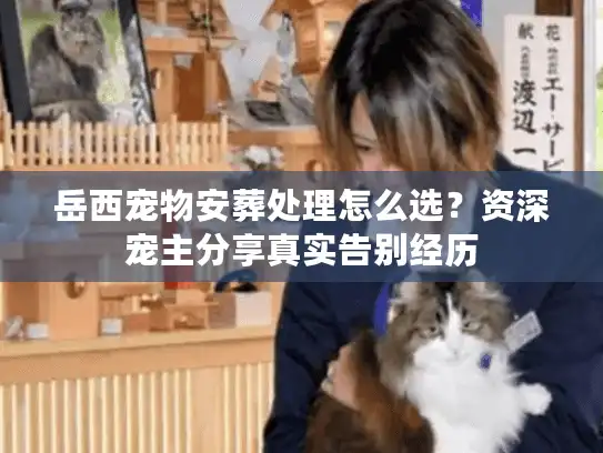 岳西宠物安葬处理怎么选？资深宠主分享真实告别经历