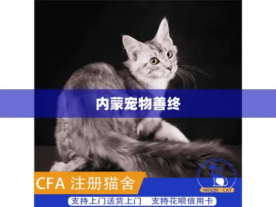 内蒙宠物善终