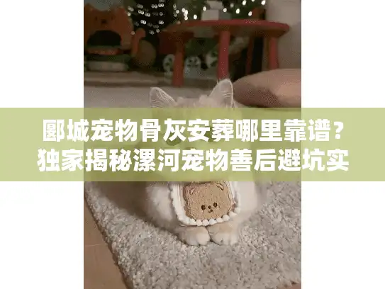 郾城宠物骨灰安葬哪里靠谱？独家揭秘漯河宠物善后避坑实策
