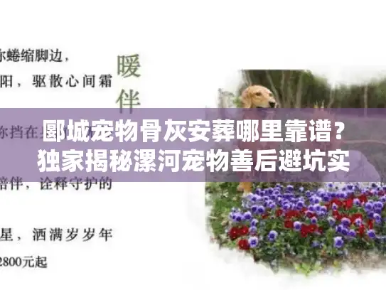 郾城宠物骨灰安葬哪里靠谱？独家揭秘漯河宠物善后避坑实策