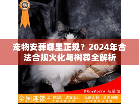 宠物安葬哪里正规？2024年合法合规火化与树葬全解析
