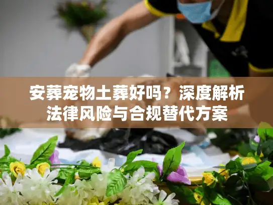 安葬宠物土葬好吗？深度解析法律风险与合规替代方案