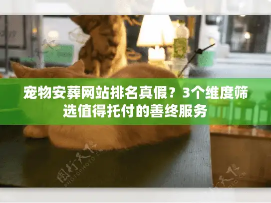 宠物安葬网站排名真假？3个维度筛选值得托付的善终服务