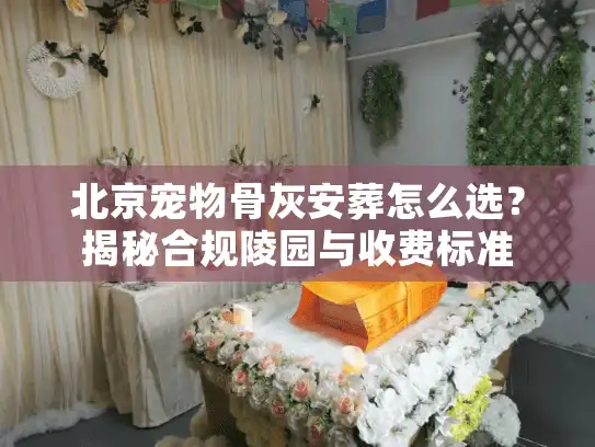 北京宠物骨灰安葬怎么选？揭秘合规陵园与收费标准