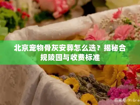 北京宠物骨灰安葬怎么选？揭秘合规陵园与收费标准