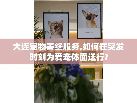 大连宠物善终服务,如何在突发时刻为爱宠体面送行?