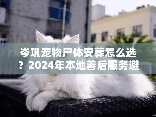 岑巩宠物尸体安葬怎么选？2024年本地善后服务避坑实录