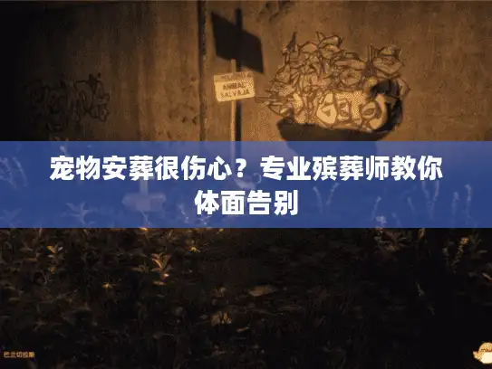 宠物安葬很伤心？专业殡葬师教你体面告别