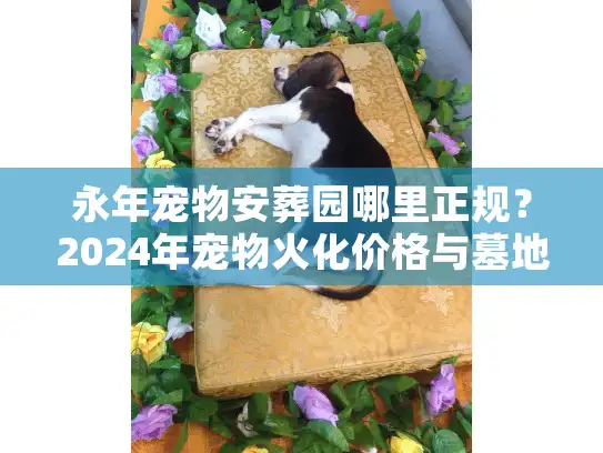 永年宠物安葬园哪里正规？2024年宠物火化价格与墓地选址深度剖析