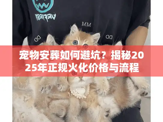 宠物安葬如何避坑？揭秘2025年正规火化价格与流程