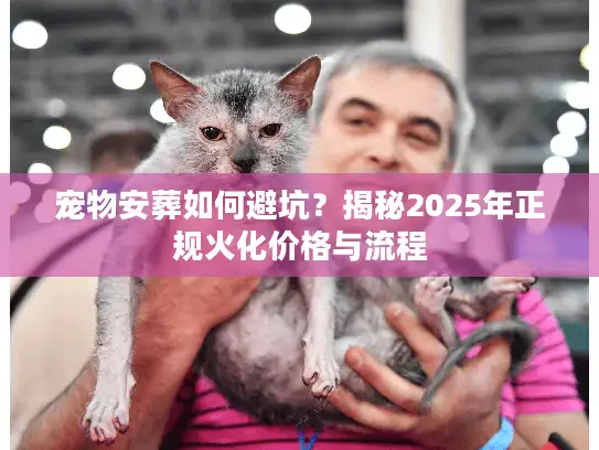 宠物安葬如何避坑？揭秘2025年正规火化价格与流程