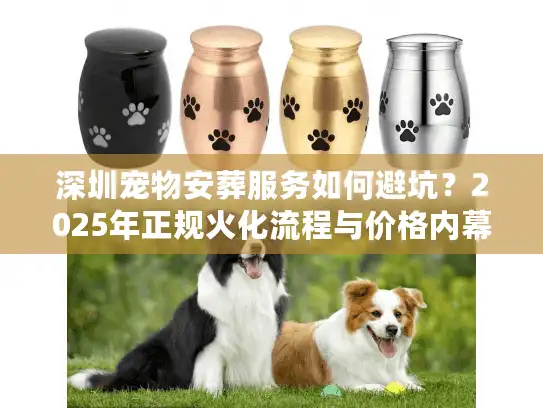 深圳宠物安葬服务如何避坑？2025年正规火化流程与价格内幕