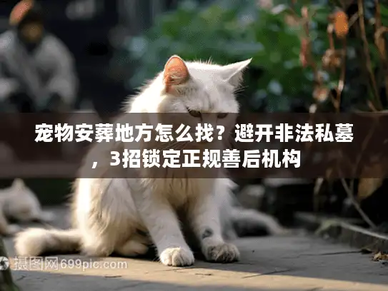 宠物安葬地方怎么找？避开非法私墓，3招锁定正规善后机构