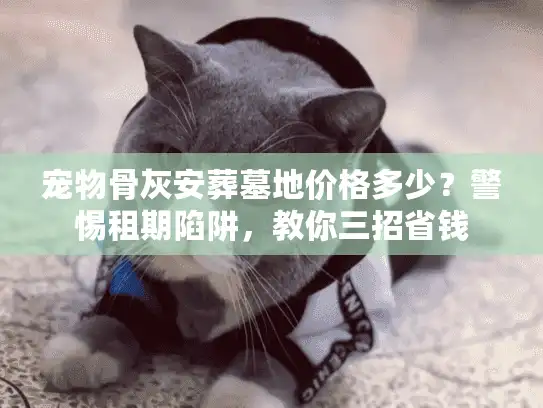宠物骨灰安葬墓地价格多少？警惕租期陷阱，教你三招省钱