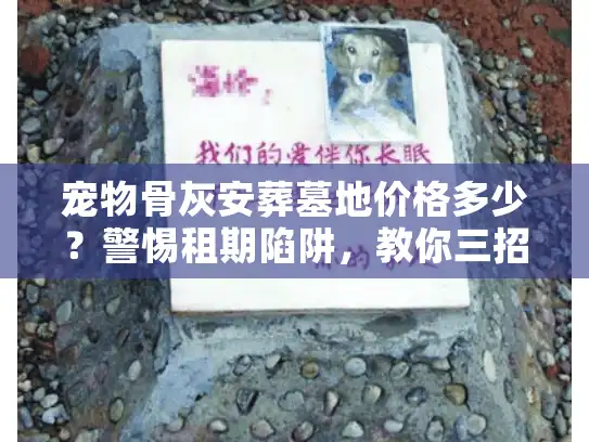 宠物骨灰安葬墓地价格多少？警惕租期陷阱，教你三招省钱