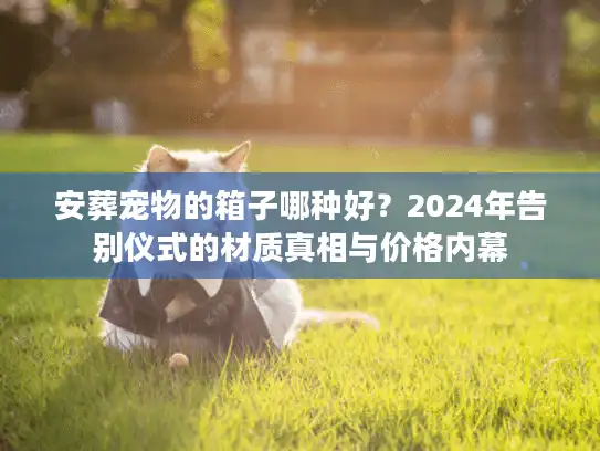 安葬宠物的箱子哪种好？2024年告别仪式的材质真相与价格内幕