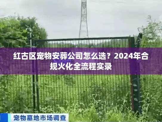 红古区宠物安葬公司怎么选？2024年合规火化全流程实录