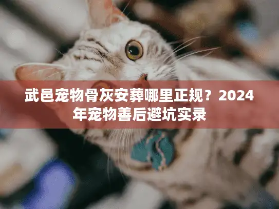 武邑宠物骨灰安葬哪里正规？2024年宠物善后避坑实录