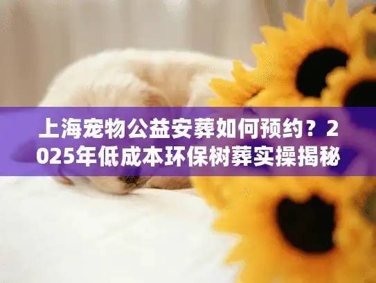 上海宠物公益安葬如何预约？2025年低成本环保树葬实操揭秘