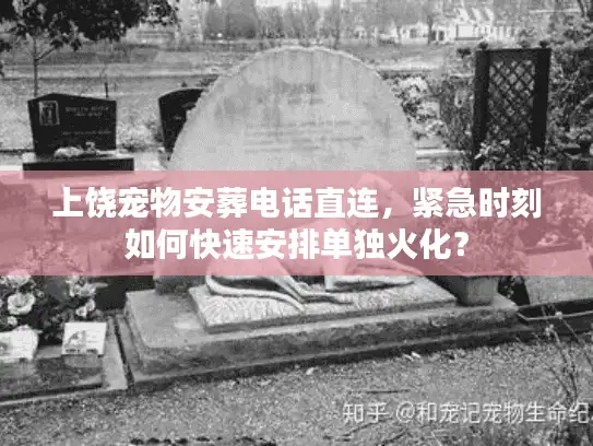 上饶宠物安葬电话直连，紧急时刻如何快速安排单独火化？