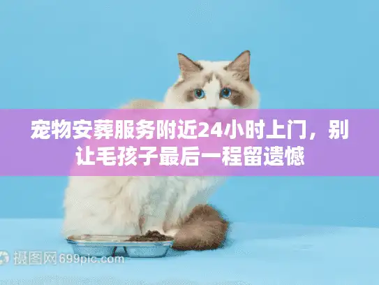 宠物安葬服务附近24小时上门，别让毛孩子最后一程留遗憾