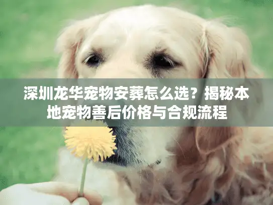深圳龙华宠物安葬怎么选？揭秘本地宠物善后价格与合规流程