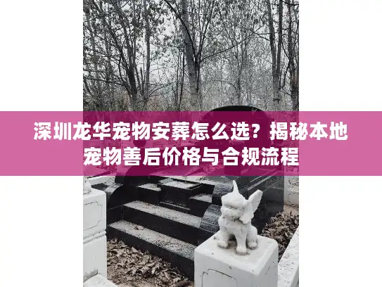 深圳龙华宠物安葬怎么选？揭秘本地宠物善后价格与合规流程