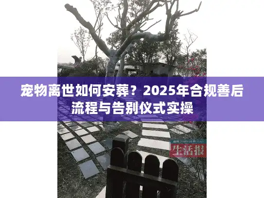 宠物离世如何安葬？2025年合规善后流程与告别仪式实操
