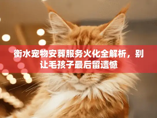 衡水宠物安葬服务火化全解析，别让毛孩子最后留遗憾