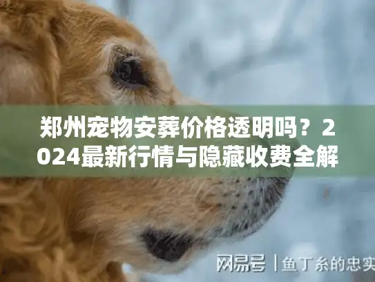 郑州宠物安葬价格透明吗？2024最新行情与隐藏收费全解析