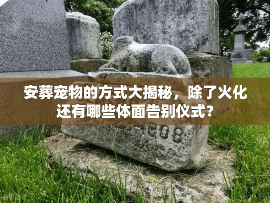 安葬宠物的方式大揭秘，除了火化还有哪些体面告别仪式？