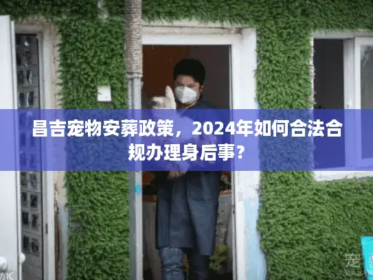 昌吉宠物安葬政策，2024年如何合法合规办理身后事？