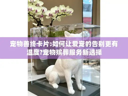 宠物善终卡片:如何让爱宠的告别更有温度?宠物殡葬服务新选择