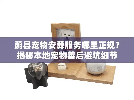 蔚县宠物安葬服务哪里正规？揭秘本地宠物善后避坑细节