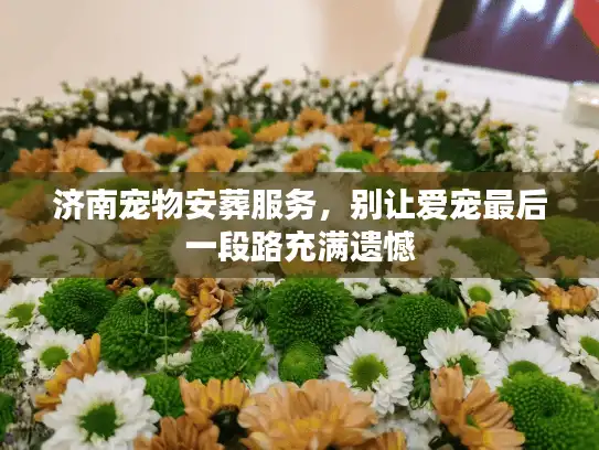 济南宠物安葬服务，别让爱宠最后一段路充满遗憾