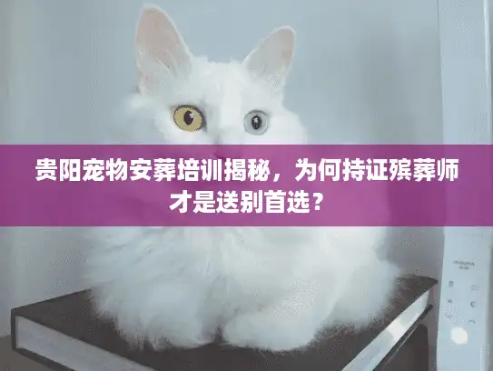 贵阳宠物安葬培训揭秘，为何持证殡葬师才是送别首选？